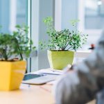 Inviting Nature Into Workspace.